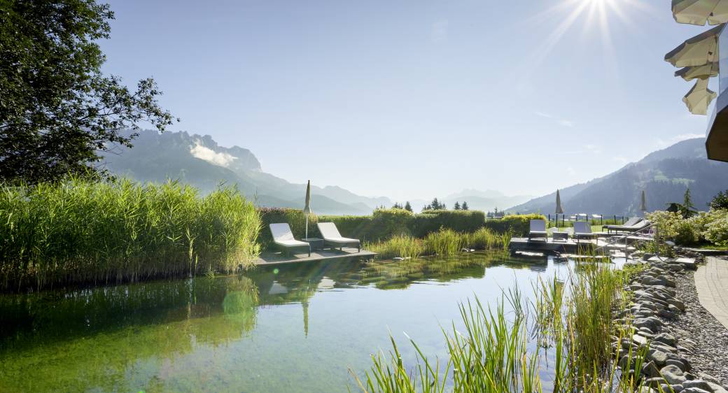 Organic natural swimming pond