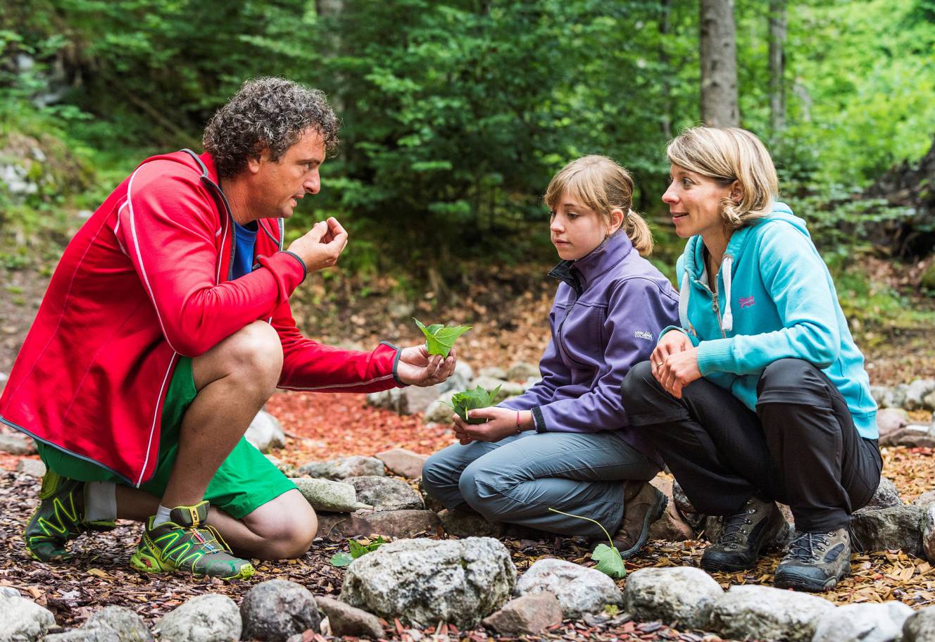 Wanderung und Natur kennenlernen