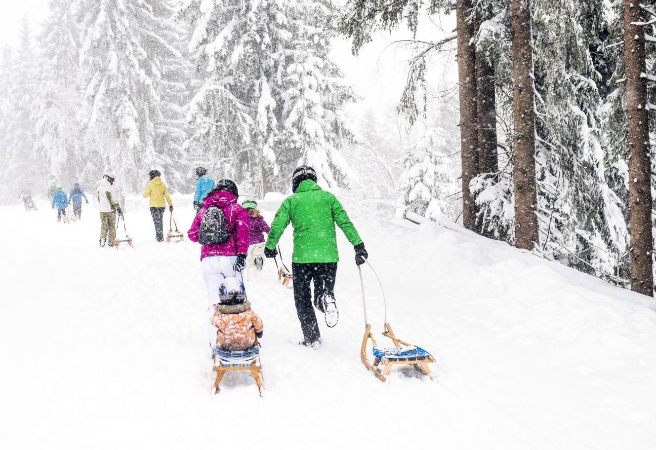 Family sledding