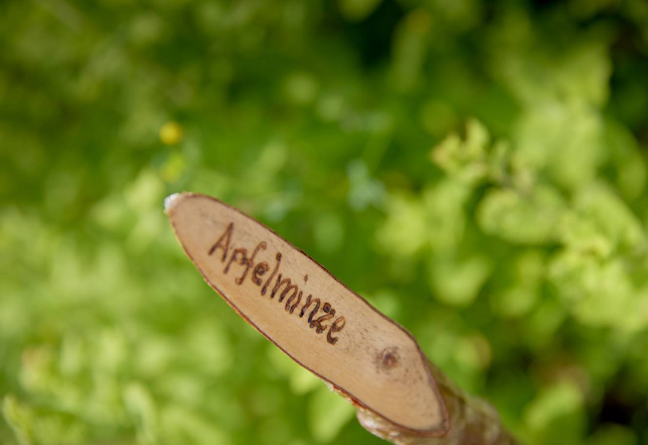 Wooden sign for apple mint