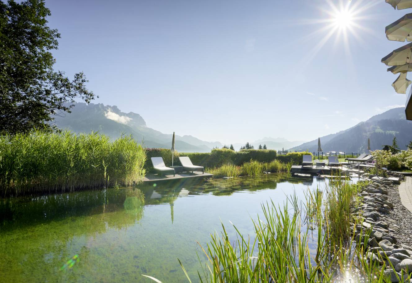 Organic natural swimming pond