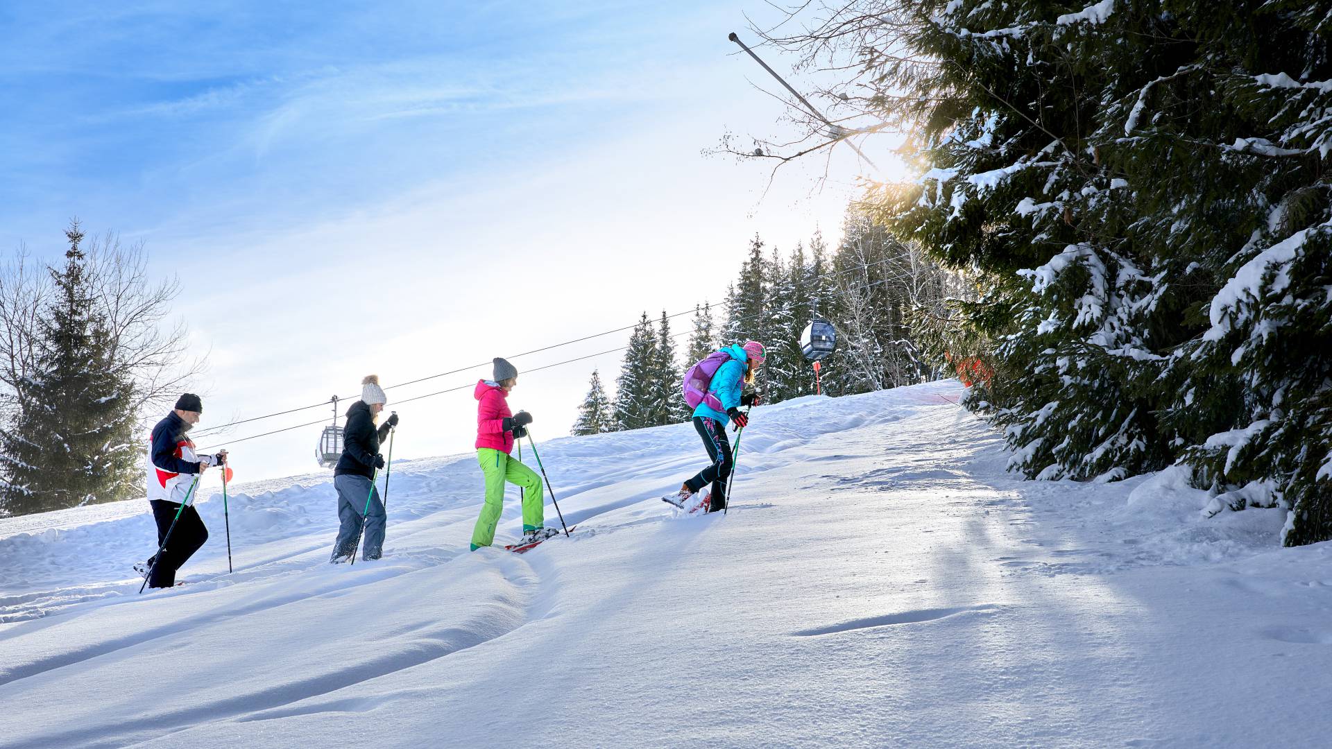 Snowshoe hiking in a winter wonderland