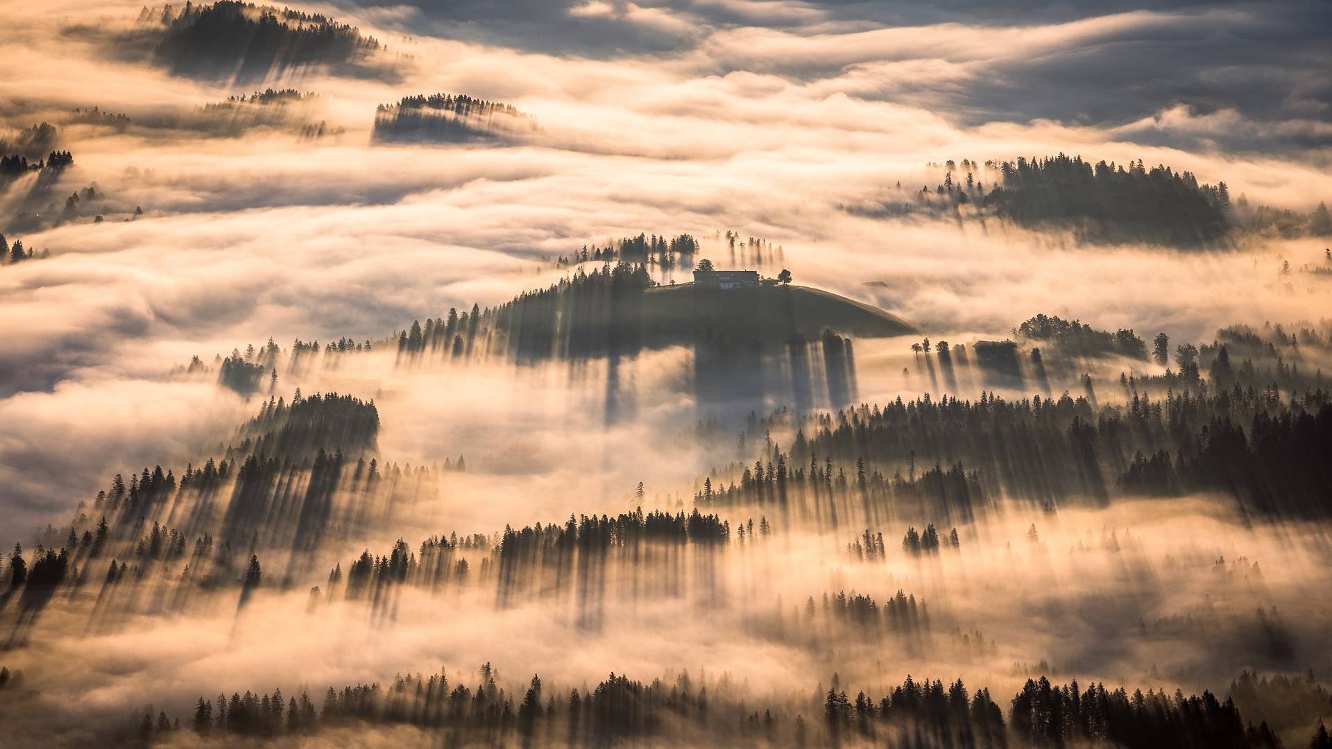 Sonnenaufgang in der Region des Wilden Kaiser