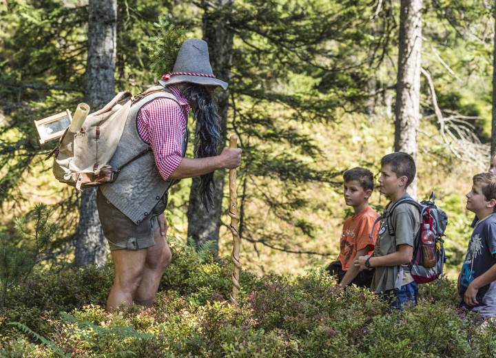 Discover Family adventures