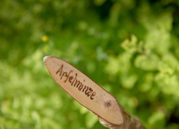 Wooden sign for apple mint